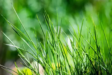 eladó családi ház, Abony