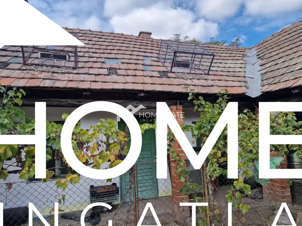 Bács-Kiskun megye - Akasztó