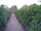 Pest megye - Albertirsa