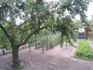 Pest megye - Albertirsa