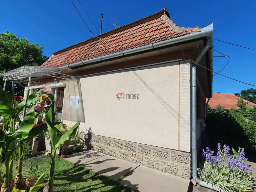 Pest megye - Albertirsa