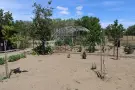 Pest megye - Albertirsa