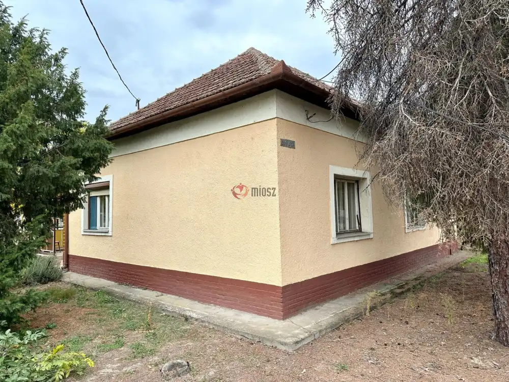 Csongrád megye - Ásotthalom