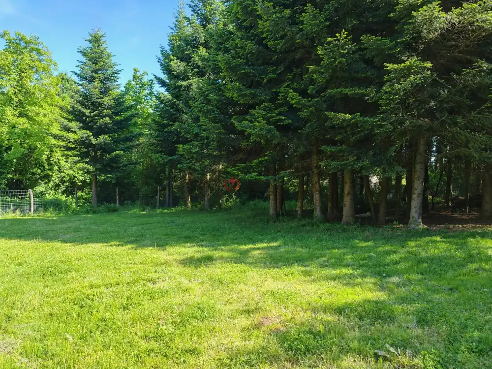 Zala megye - Babosdöbréte