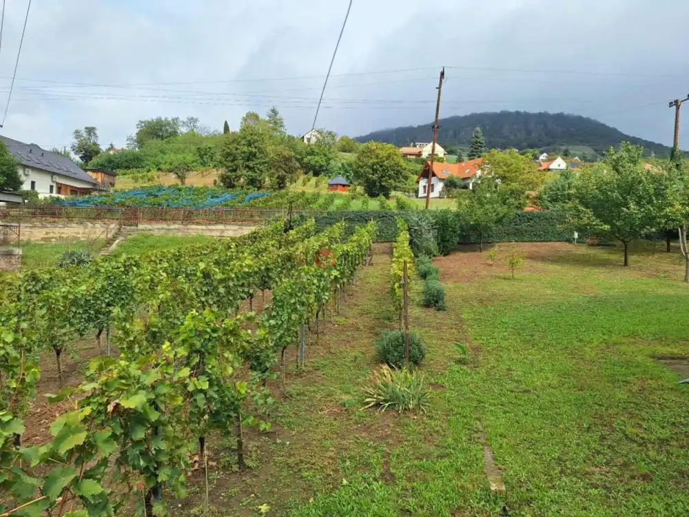 Veszprém megye - Badacsonytomaj