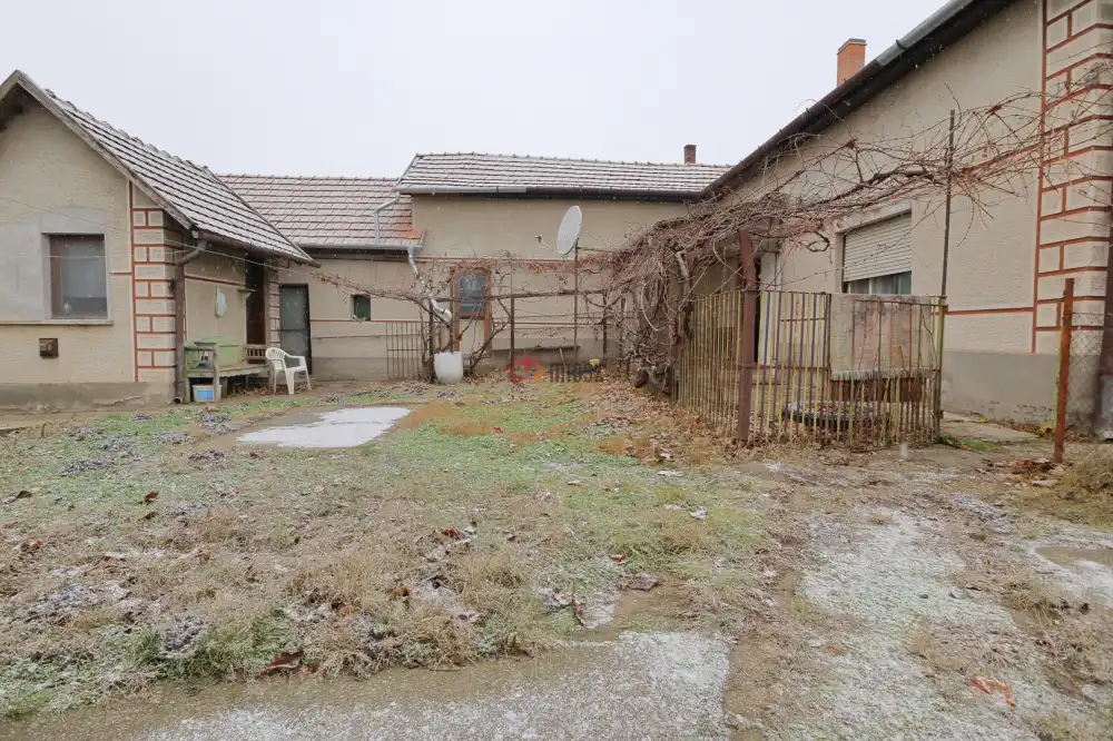 Csongrád megye - Baks