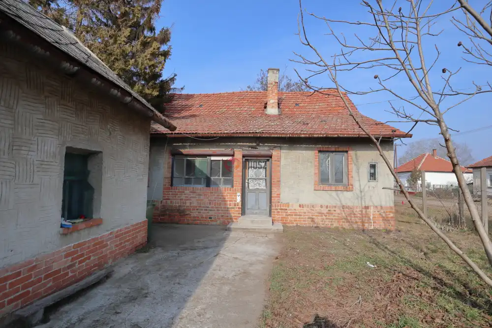 Csongrád megye - Baks