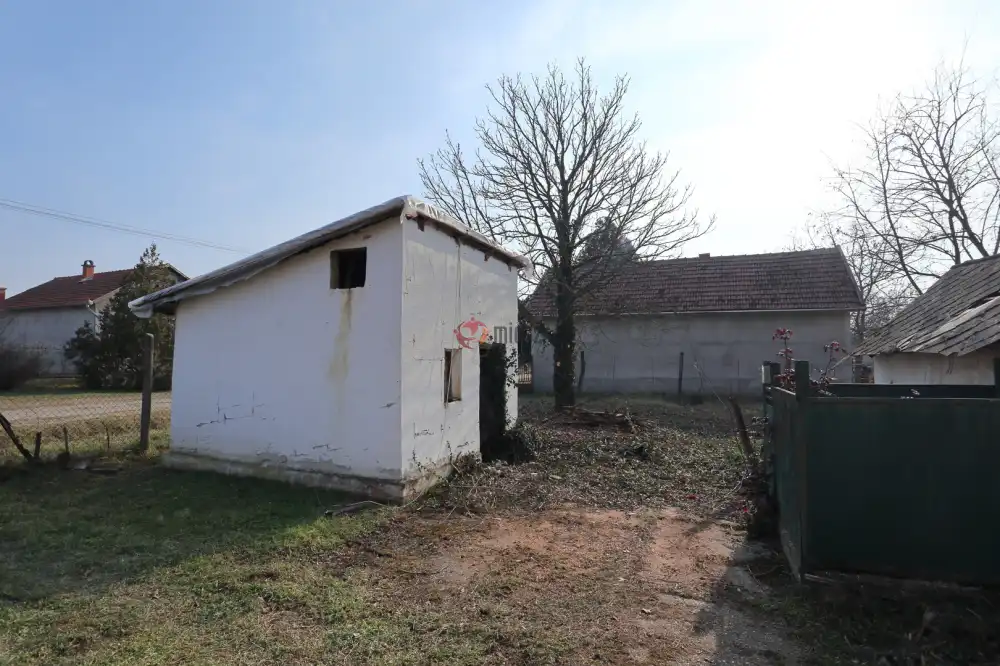 Csongrád megye - Baks