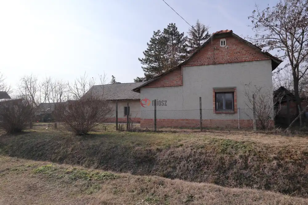 Csongrád megye - Baks