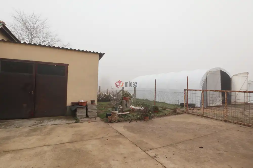 Csongrád megye - Balástya