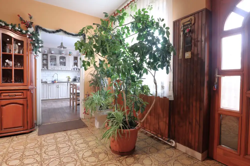 Csongrád megye - Balástya