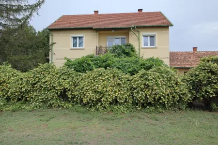 eladó családi ház, Balástya