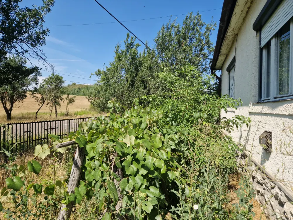 Heves megye - Balaton