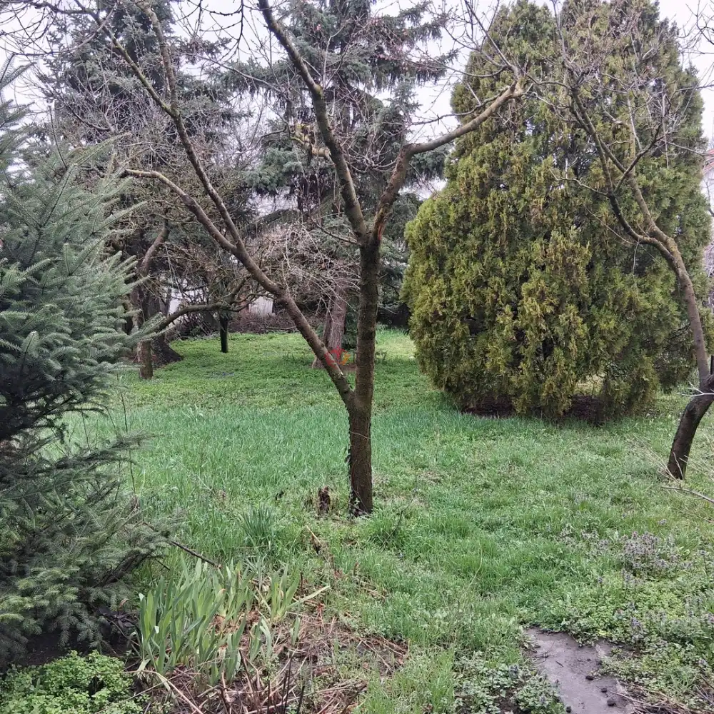 Békés megye - Békéscsaba