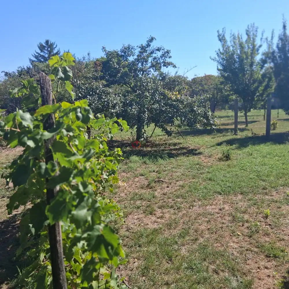 Békés megye - Békéscsaba