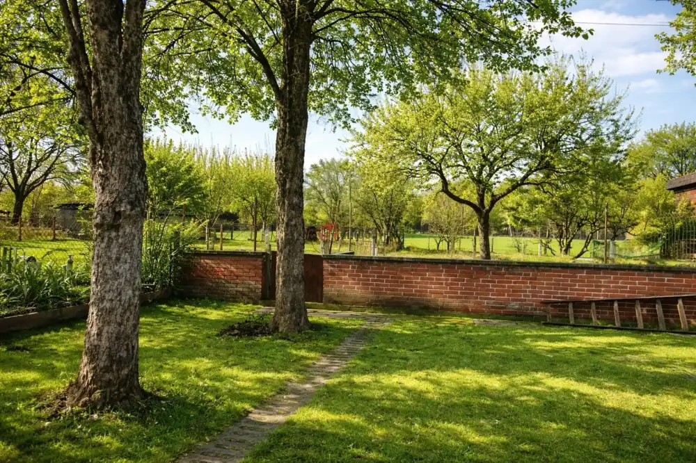 Békés megye - Békéscsaba