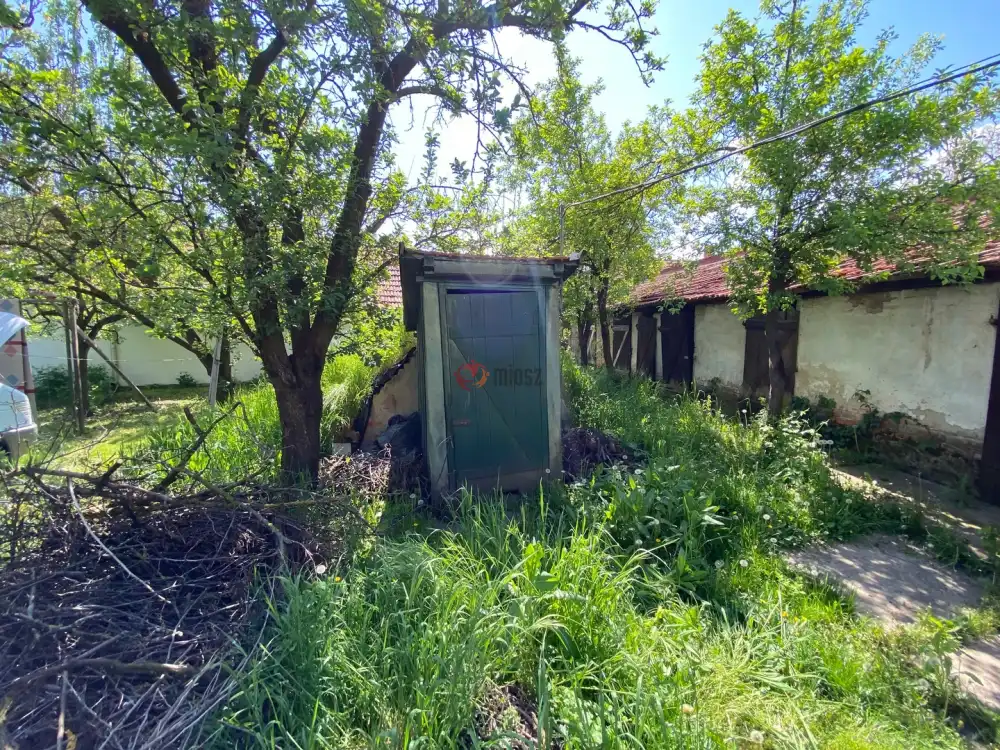 Békés megye - Békéscsaba