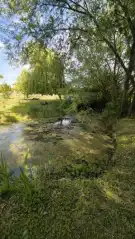 Nógrád megye - Berkenye