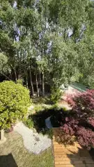 Nógrád megye - Berkenye