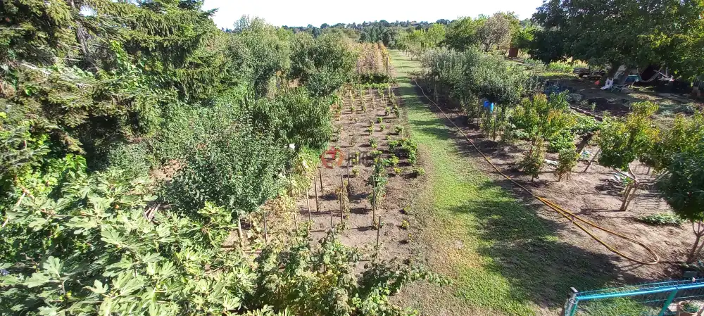 Fejér megye - Bicske