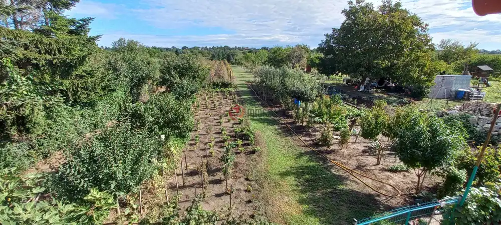 Fejér megye - Bicske