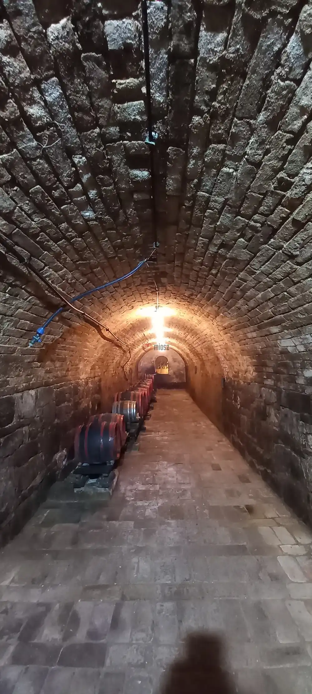 Fejér megye - Bicske