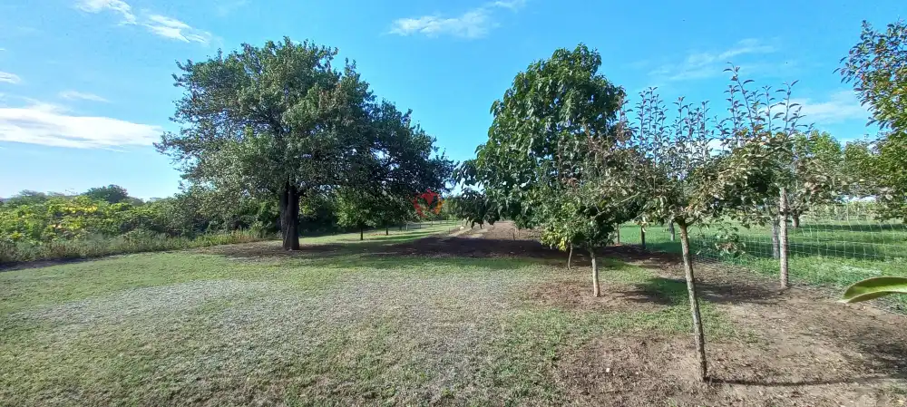 Fejér megye - Bicske