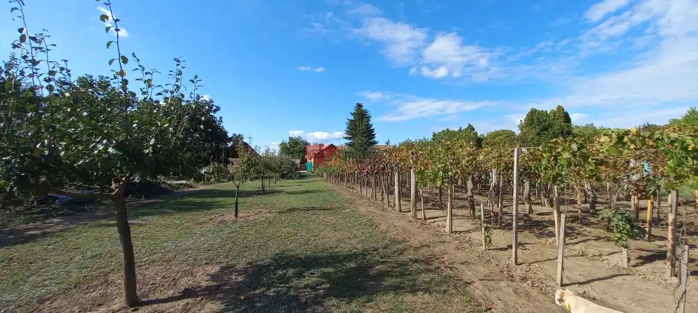 Fejér megye - Bicske