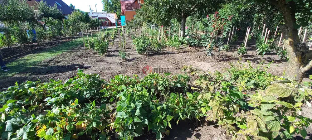 Fejér megye - Bicske