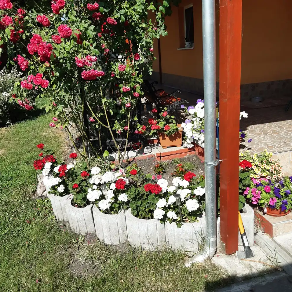 Fejér megye - Bicske