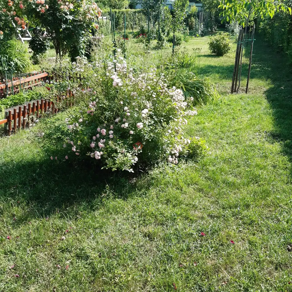 Fejér megye - Bicske