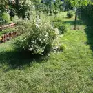 Fejér megye - Bicske