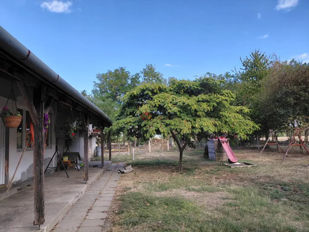 Baranya megye - Bóly