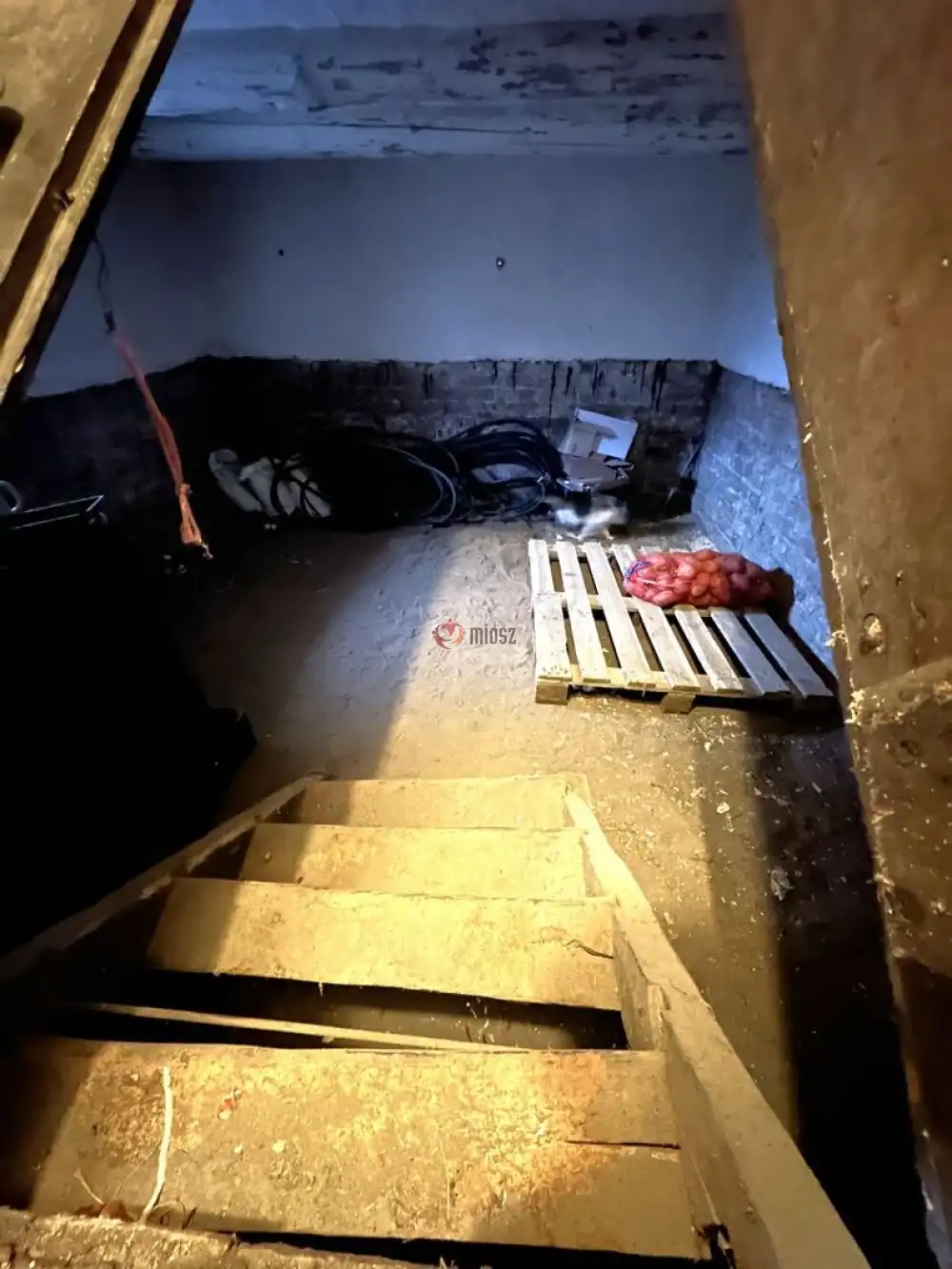 Csongrád megye - Bordány