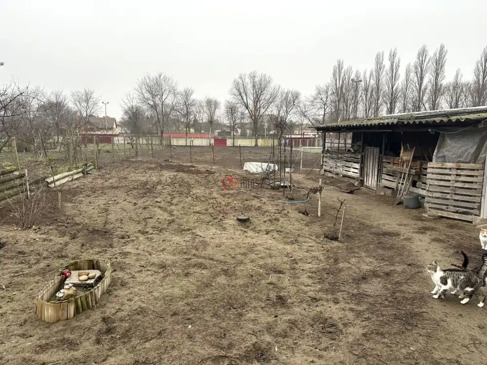 Csongrád megye - Bordány