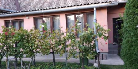 eladó családi ház, Budakeszi eladó családi ház, Budakeszi