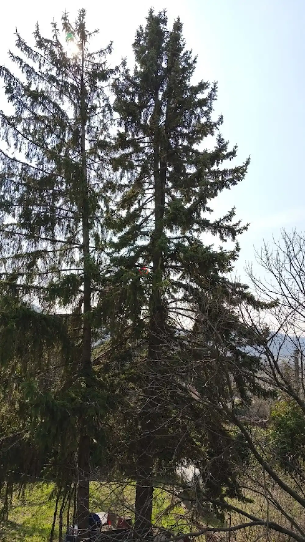 Pest megye - Budakeszi