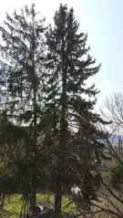 Pest megye - Budakeszi