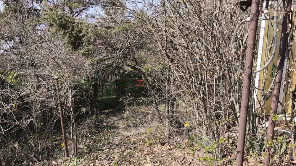 Pest megye - Budakeszi