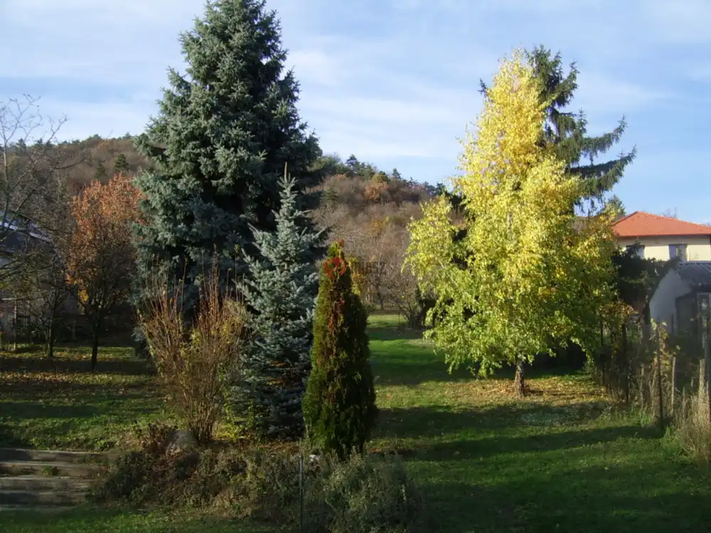 Pest megye - Budaörs