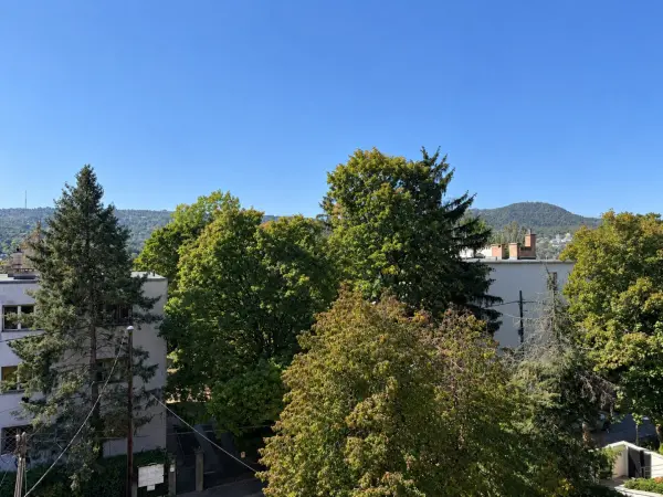Eladó családi ház, Budapest, II. kerület 7 szoba 414 m² 687 M Ft