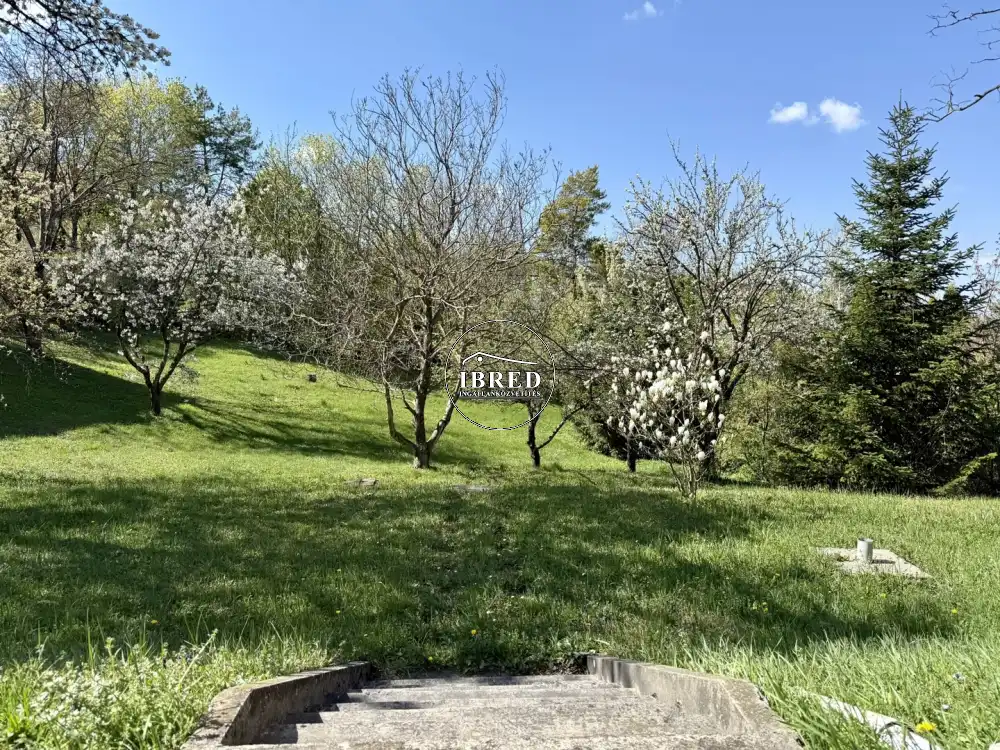 Budapest, XII. kerület - Budakeszierdő