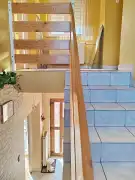 Budapest, XXI. kerület - Királyerdő