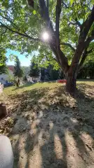 Komárom-Esztergom megye - Csolnok
