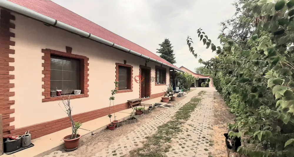Pest megye - Csomád