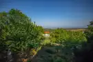 Pest megye - Csömör