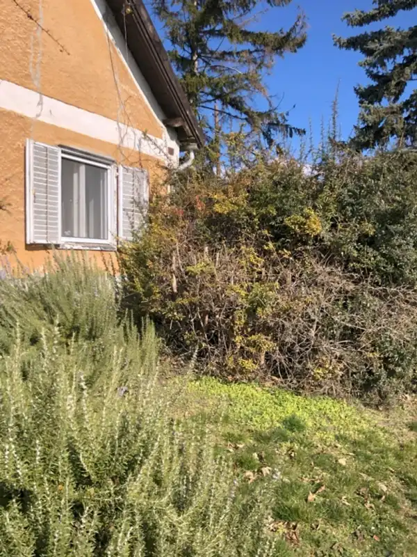 Eladó családi ház, Csopak 5 szoba 128 m² 88 M Ft