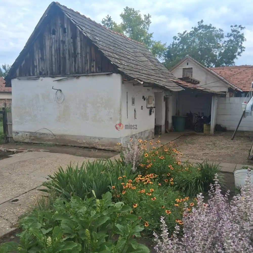 Békés megye - Csorvás