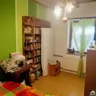 Pest megye - Dabas