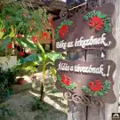 Pest megye - Dabas